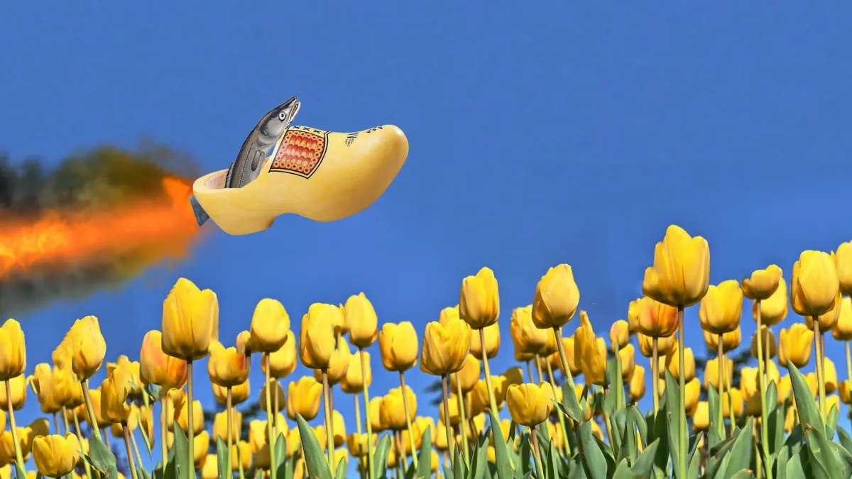 gladde paling in Den Haag, 20 March | Event in Scheveningen | AllEvents