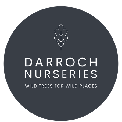 Darroch Nurseries logo