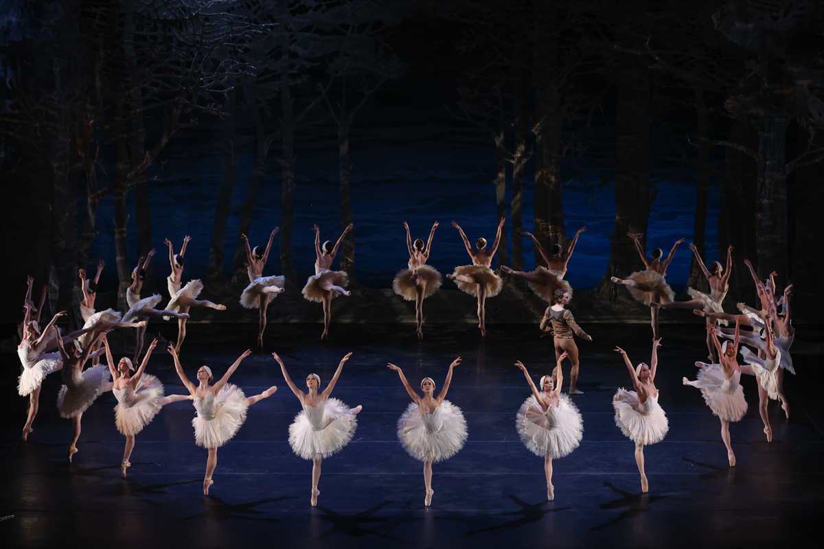 Swan Lake - Elizabeth, 16 May | Event in Elizabeth | AllEvents