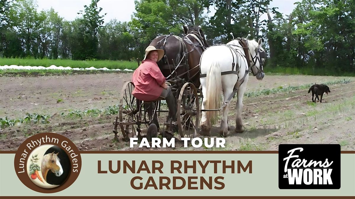 Lunar Rhythm Gardens Farm Tour, Kawartha Lakes, 19 July