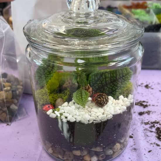 Closed Eco-System Terrarium Class | Event in San Mateo | AllEvents