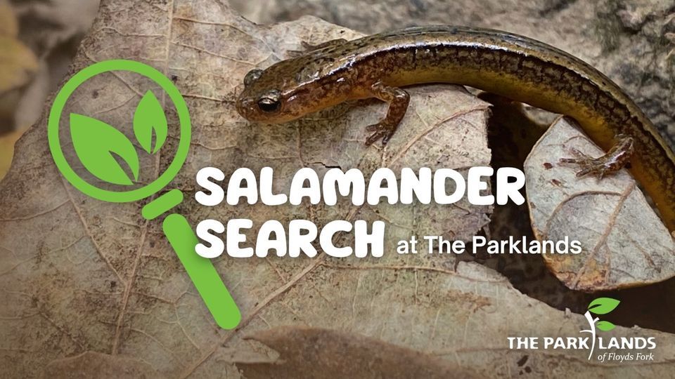Salamander Night Hike, Ben Stout House, Hillview, March 16 2024