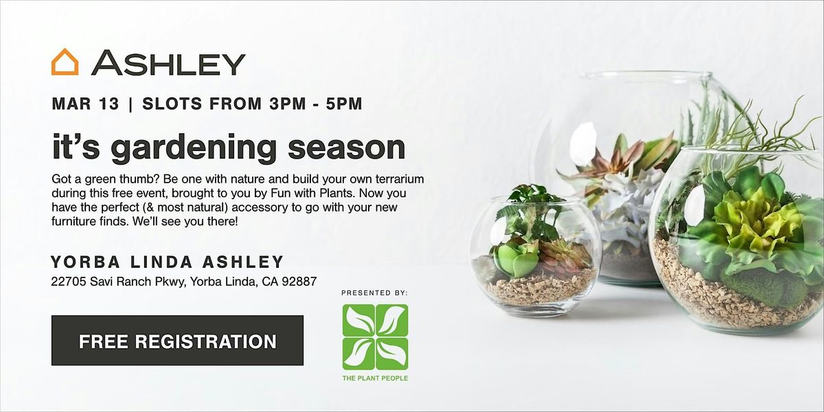 FREE Design your Own Terrarium Yorba Linda, CA, Ashley Store