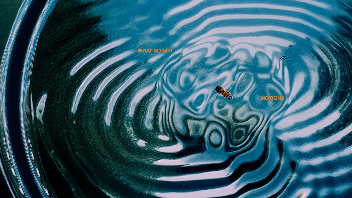 What So Not in Whistler, 26 January | Event in Whistler | AllEvents