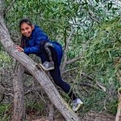 Home Education Wildskills at The Wolseley Centre