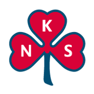 Norske Kvinners Sanitetsforening