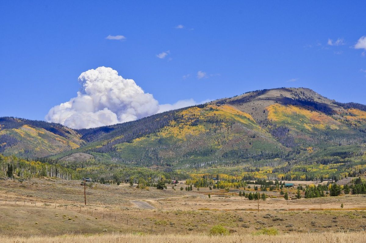 Parking The Nutcracker - Stateline, 23 December | Event in Stateline | AllEvents