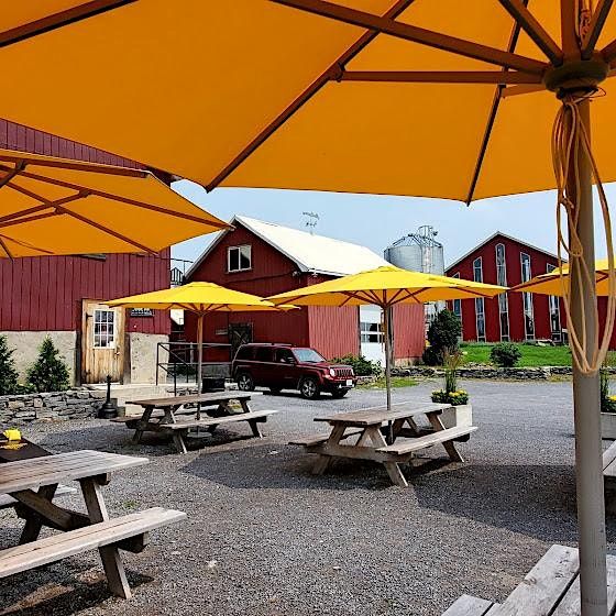 PleinAir Painting at MacKinnon Brothers Brewery, MacKinnon Brothers