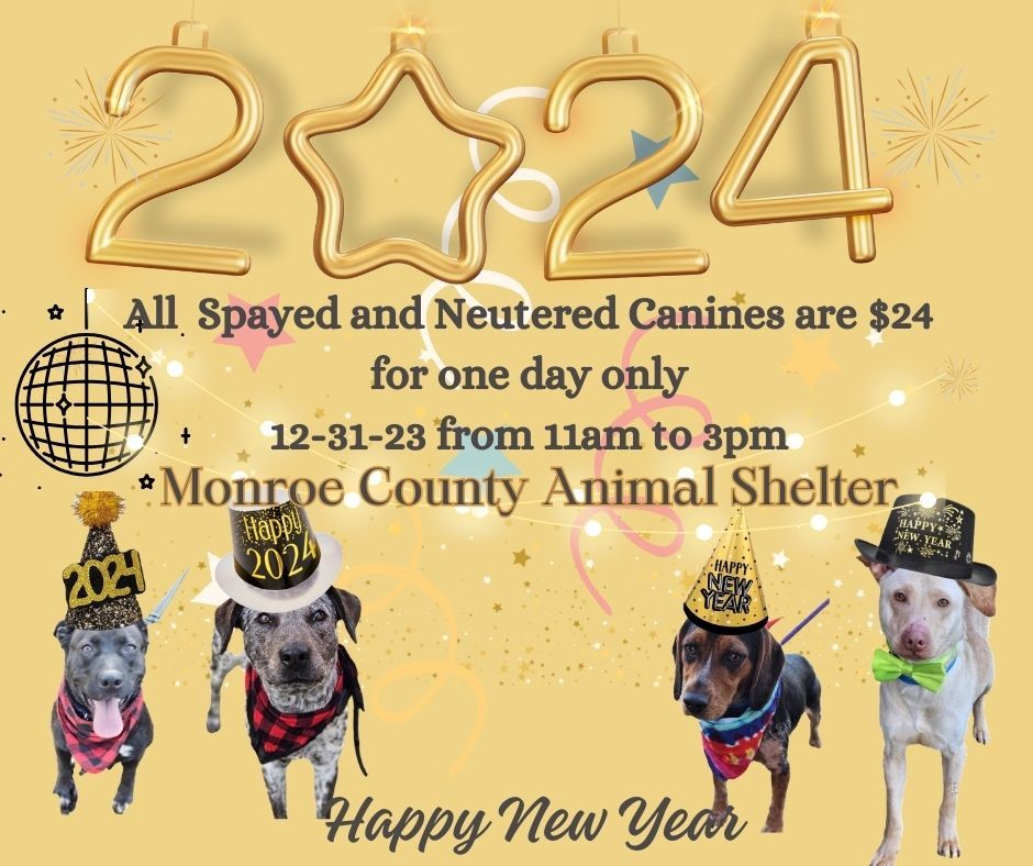 New Years Eve Adoption Event, TN Monroe County Animal Shelter