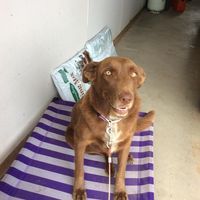 User profile photo