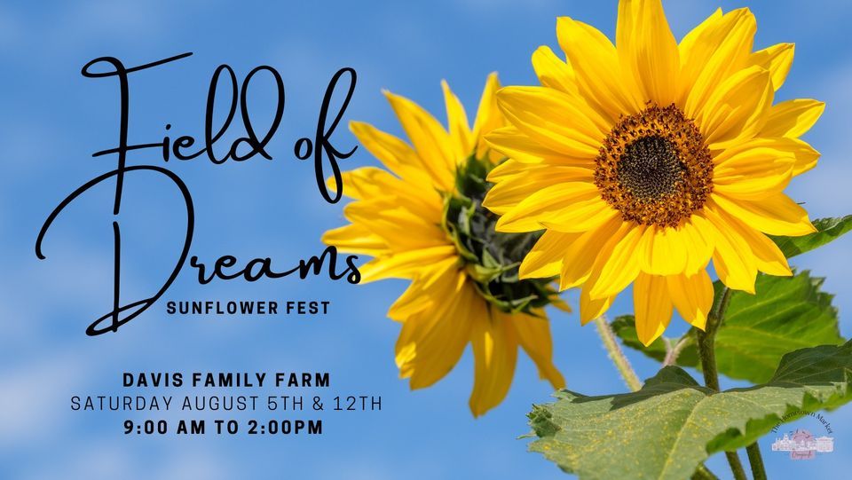 Field Of Dreams Sunflower Fest, Davis Family Farm, Orangeville