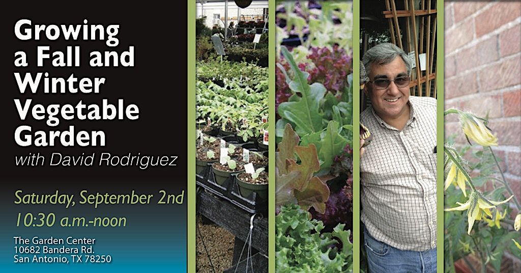 Growing a Fall and Winter Vegetable Garden, The Garden Center, San