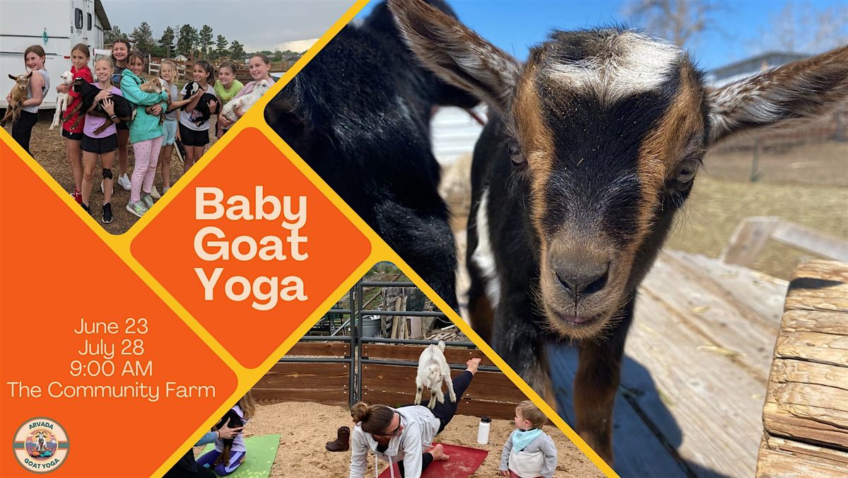 Baby Goat Yoga, The Community Farm, Arvada, 23 June 2024 AllEvents.in