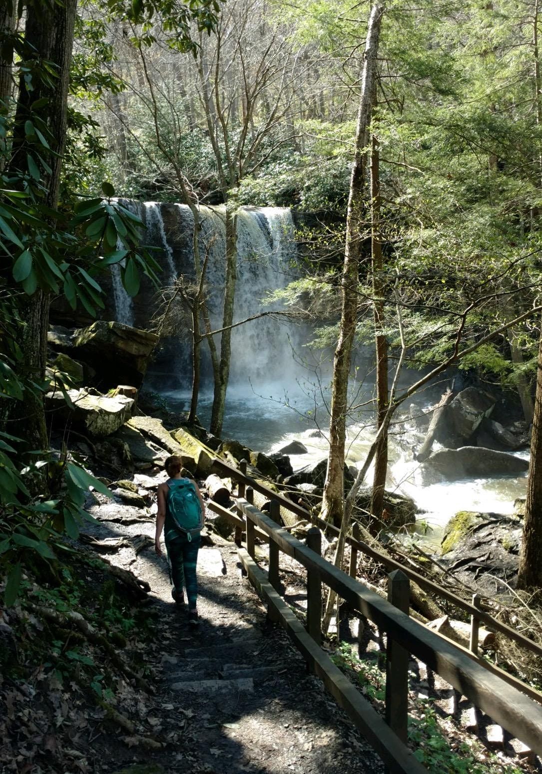 52 Hike Challenge and We Hike To Heal at Ohiopyle State Park, Ohiopyle