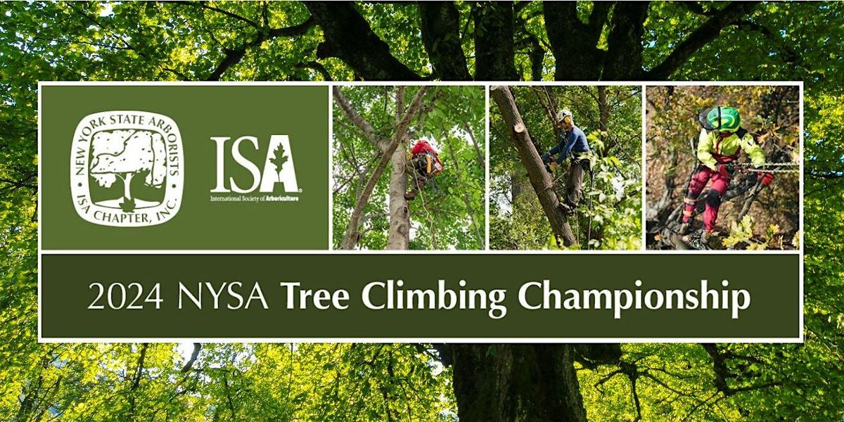 Tree Climbing Championship, Washington Park, Albany, 22 June 2024 ...