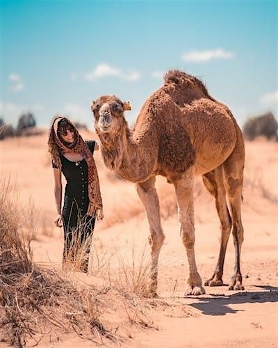 (6 Days/5 Nights) Christian Women's Retreat in Marrakesh, Morocco., 1 November | Event in Marrakech | AllEvents