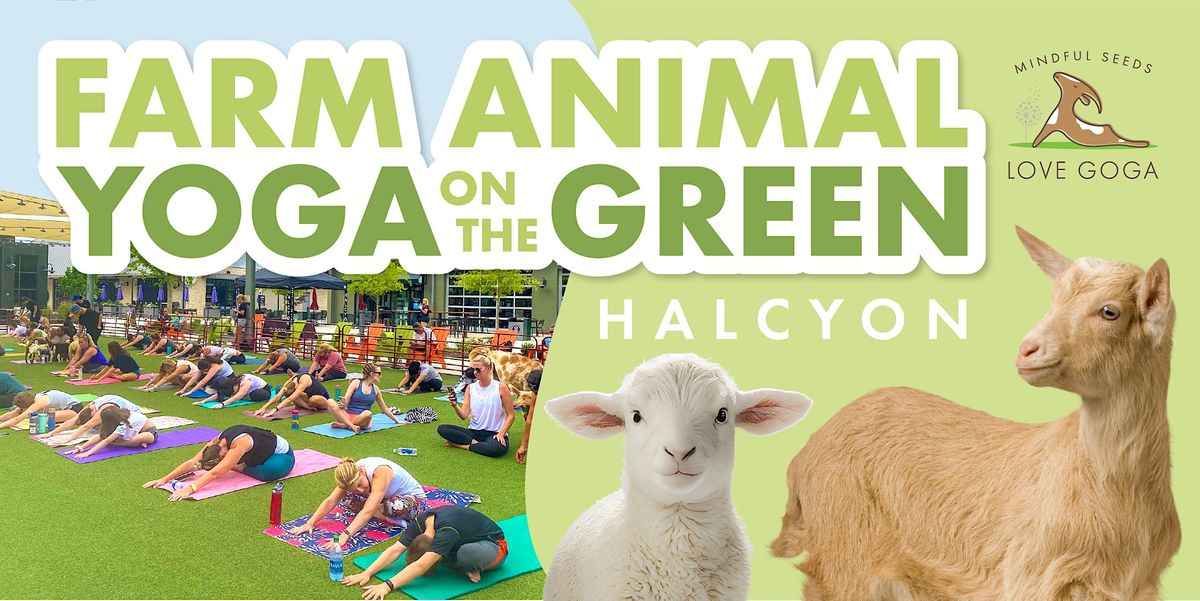 Farm Animal Yoga on the Green at Halcyon, Halcyon, Alpharetta, October 14 2023 AllEvents.in