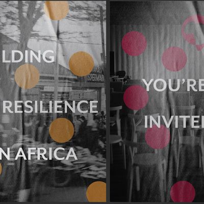 Africa Health Conference 2024, Harvard T.H. Chan School of Public