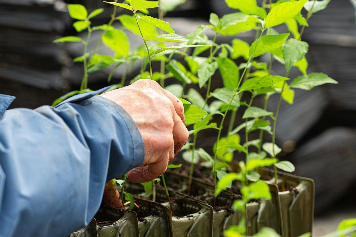 Nursery Maintenance at Broadley | Event in Diptford | AllEvents