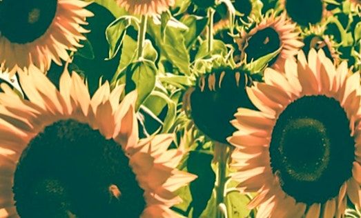 DIY Wednesday Spring Wreath, 12 April 2023 | AllEvents