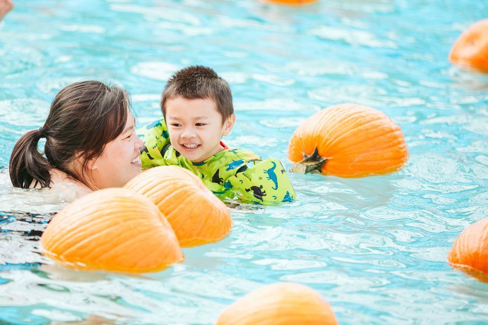 Floating Pumpkin Patch Mike Shellito Indoor Pool Roseville 22 floating-pumpkin-patch-mike-shellito-indoor-pool-roseville-22