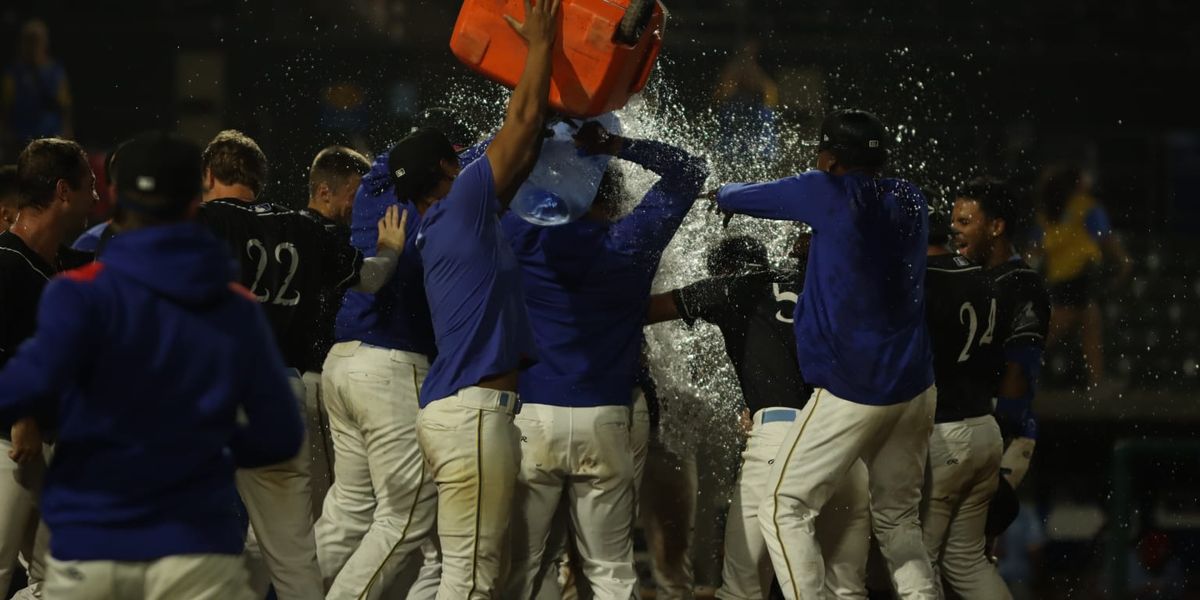 Fredericksburg Nationals at Myrtle Beach Pelicans, 10 July | Event in Myrtle Beach | AllEvents