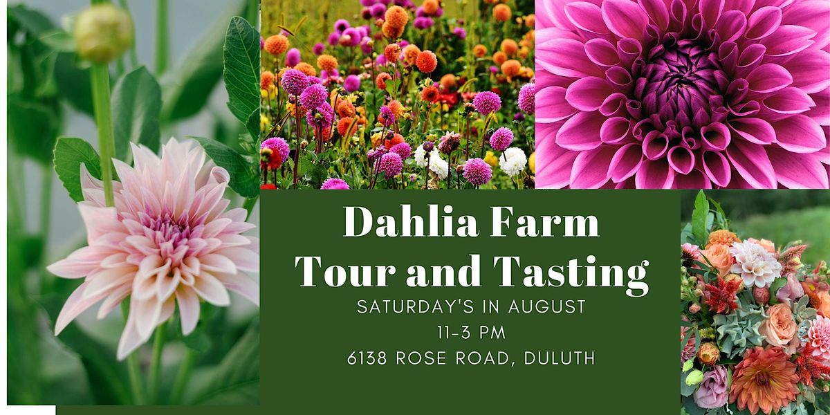 Duluth Flower Farm Dahlia Tour and Tasting, 6138 Rose Rd, Duluth, 26