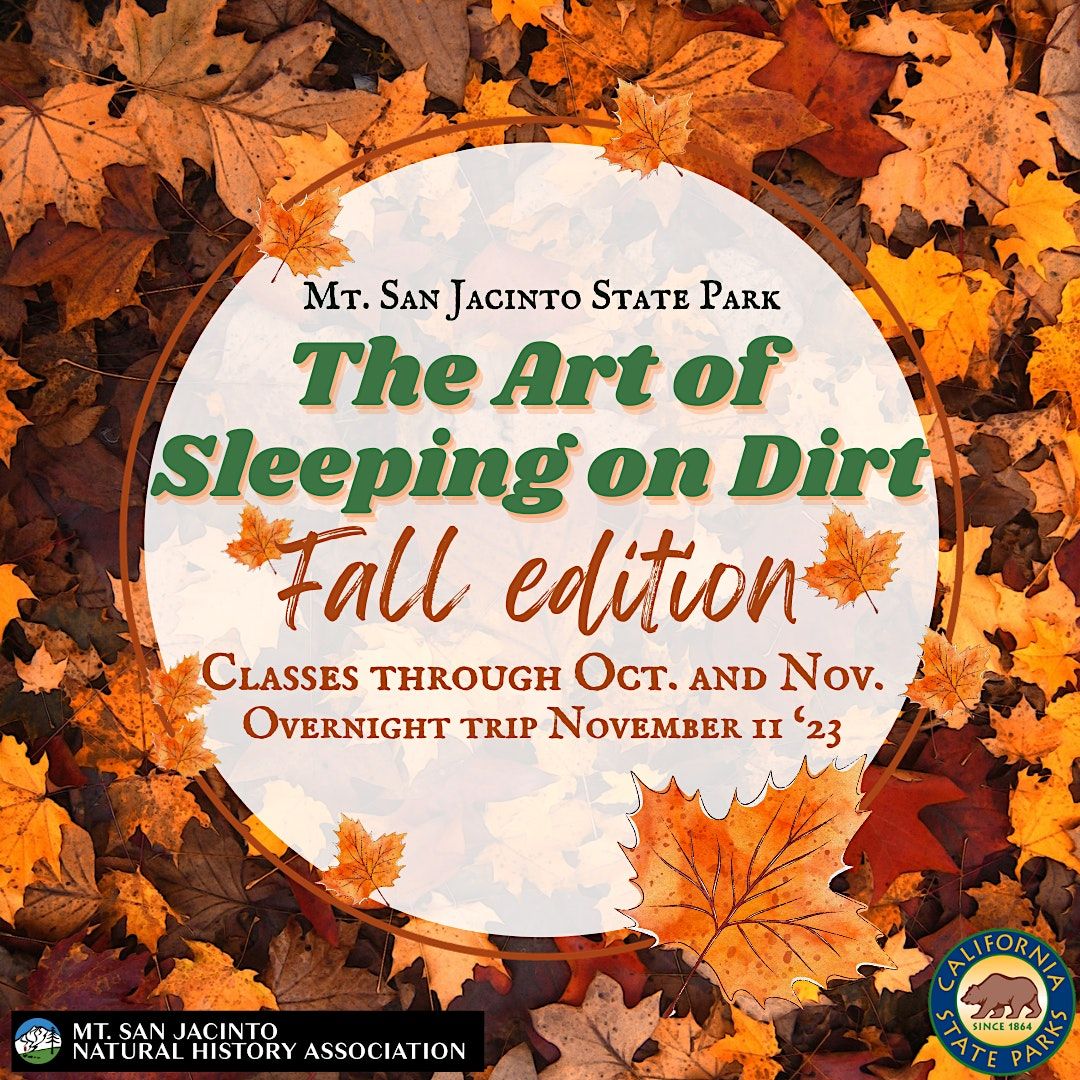 The Art of Sleeping on Dirt Fall (IDYLLWILD Headquarters), Mount San