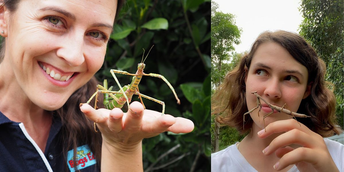 Bug Walk, Mooloolah River Landcare, Glenview, 14 October 2023 ...