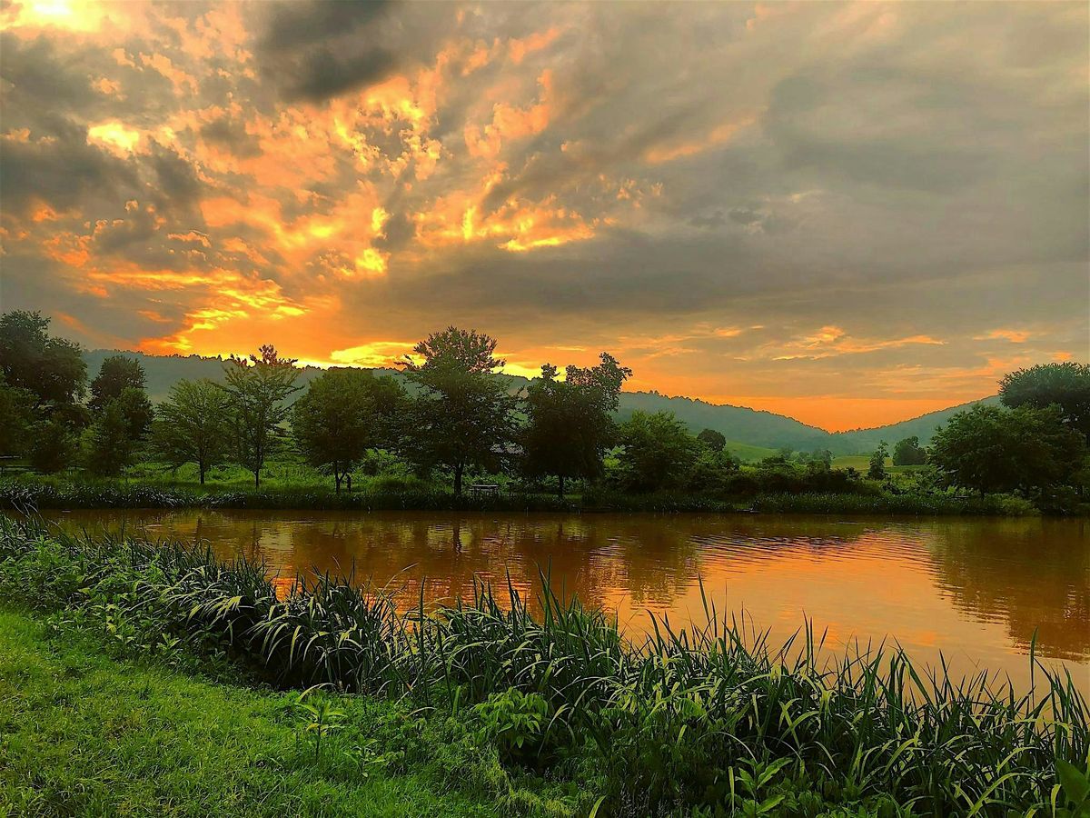 Twilight Hikes | Event in Delaplane | AllEvents