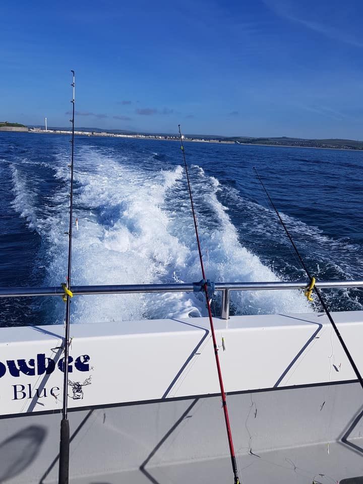 Weymouth Pairs Species Charter Boat Open 2022, Weymouth Harbour