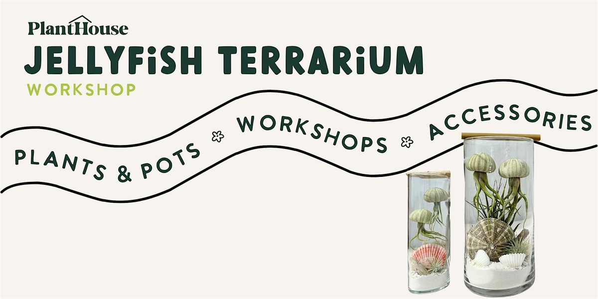 Jellyfish Terrarium Workshop | Event in Charlotte | AllEvents