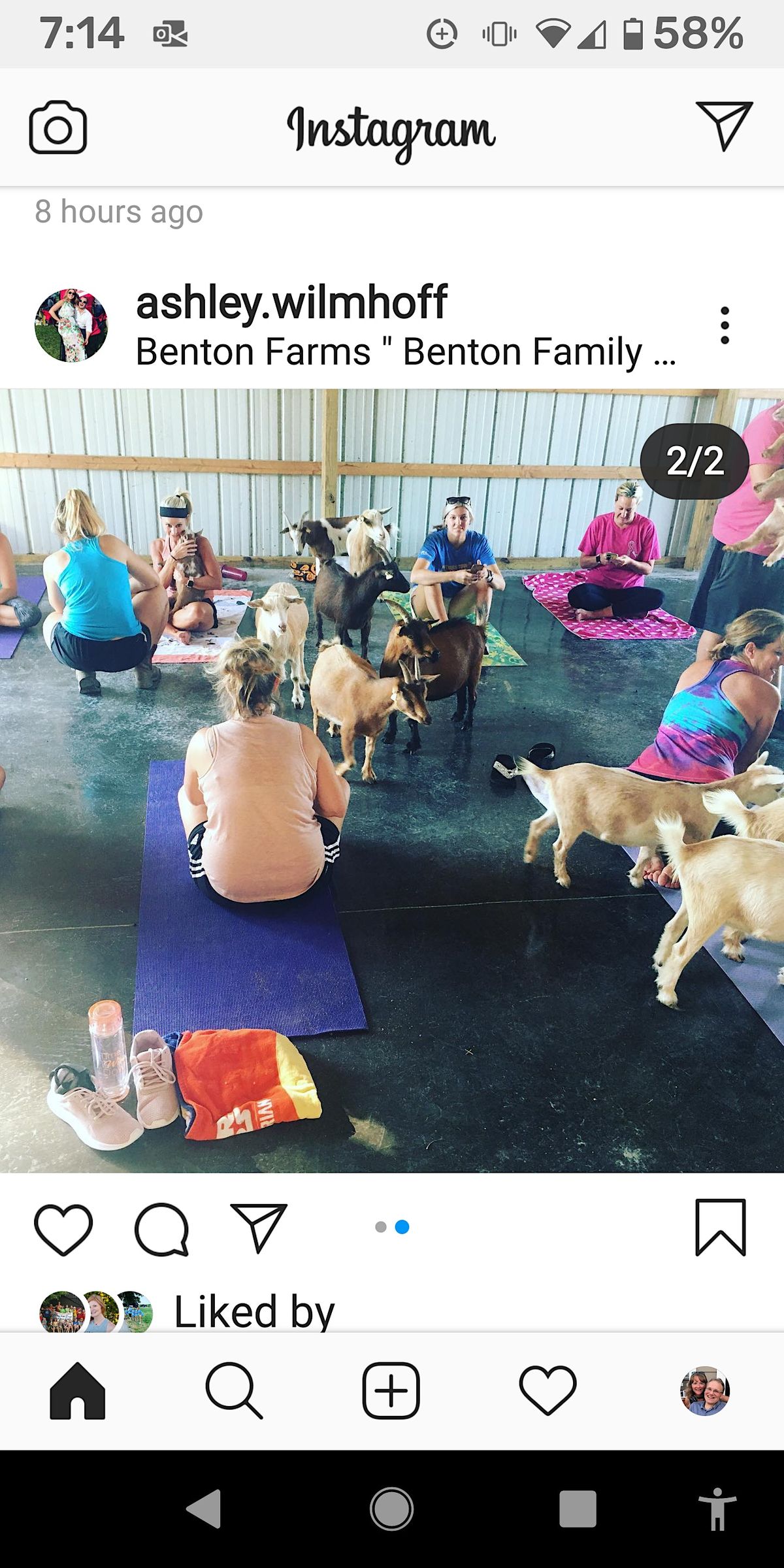 Benton Farm Goat Yoga, Benton Farm Learning Center, Walton, 26 May 2023