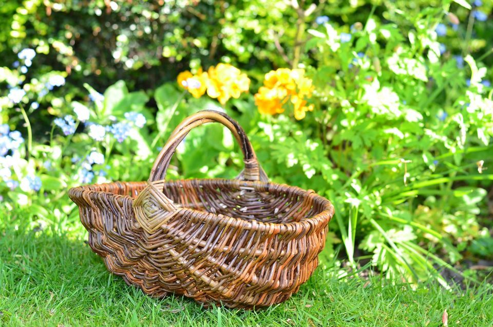 Willow Frame Basket Making with Julie Livesey of Pip Cottage £