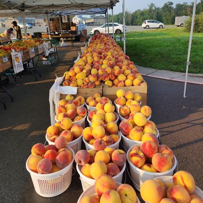 EatLoco Farmers Market Loudoun Station, 43751 Central Station Dr