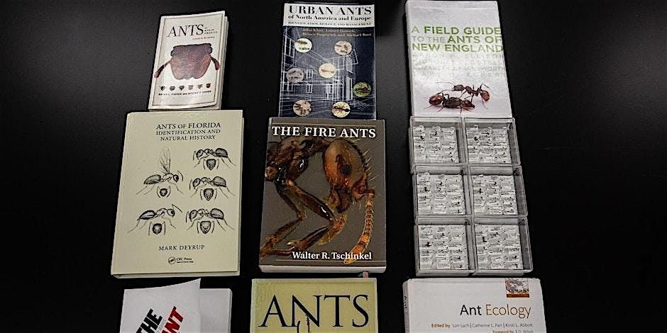 Invasive Ant Bootcamp 2025, 7 May | Event in Gainesville | AllEvents