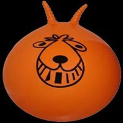 The Space Hoppers