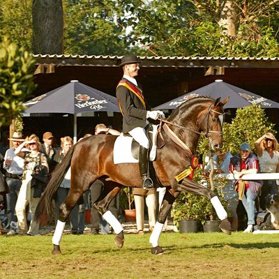 Equinimity Productions logo