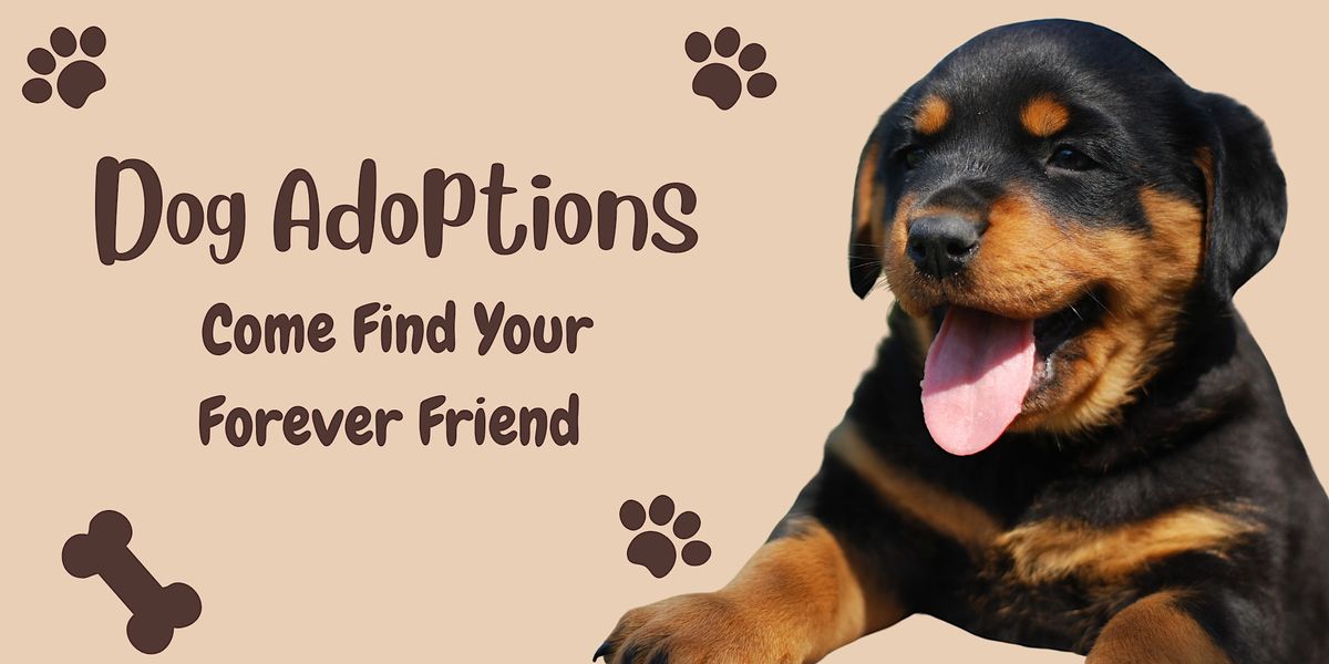 Dog Adoptions! | Event in Las Vegas | AllEvents