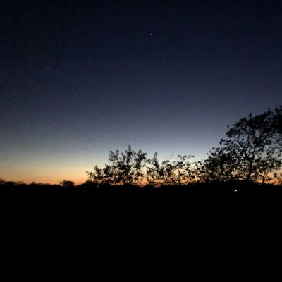 Montauk Owl Hike (Montauk Point): $4.00 per person on arrival