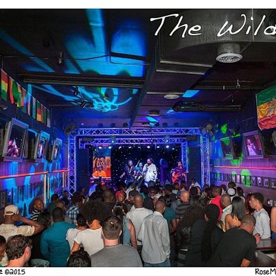 THE WILD HARE NEW YEARS EVE PARTY with Hurricane Reggae Band &amp; Guests, The Wild Hare &amp; Singing