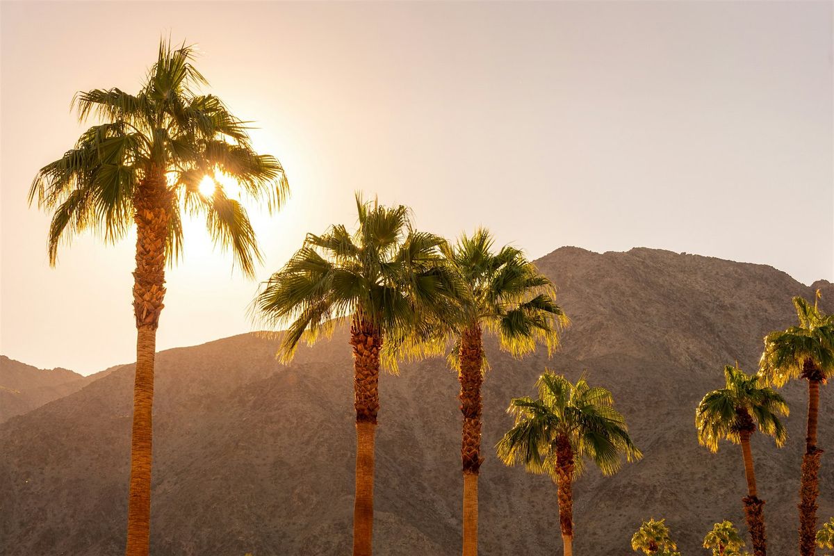 Palm Springs: City and Desert App-Guided Driving Audio Tour | Event in Palm Springs | AllEvents