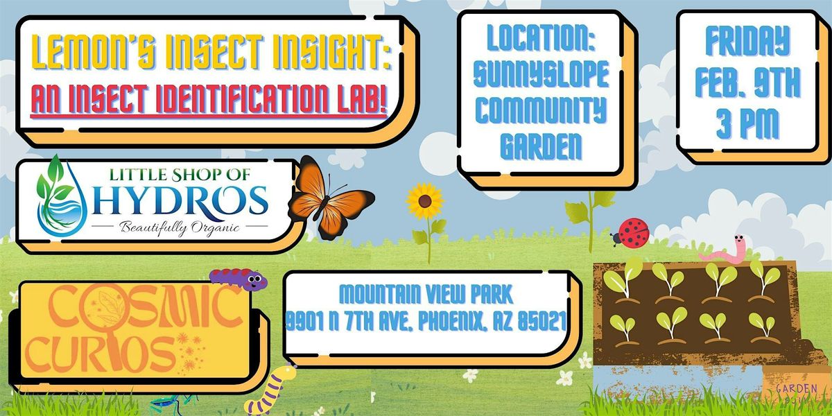 Insect Insight - An insect education workshop, 9901 N 7th Ave, Phoenix ...