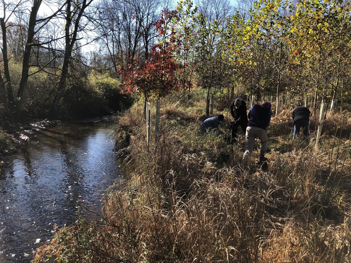 Hunter Brook Preserve Tree PlantingMorning Session, Hunter Brook