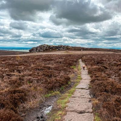 Simonside Hills - Reconnection Walk, Simonside Car Park Walk, Morpeth ...