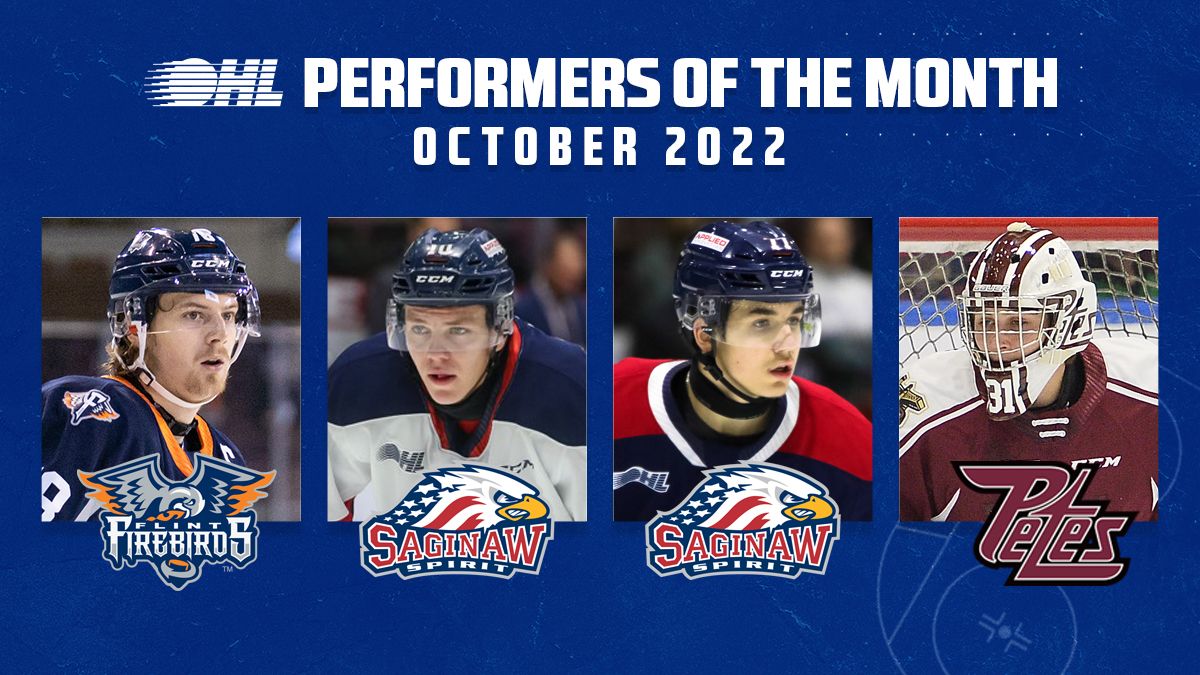 Flint Firebirds at Niagara IceDogs at Meridian Centre, 19 December | Event in St. Catharines | AllEvents