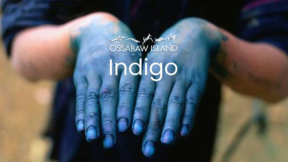 Hands-On Indigo Dyeing : Ossabaw Island Indigo Day Trips, 20 September | Event in Ossabaw Island | AllEvents