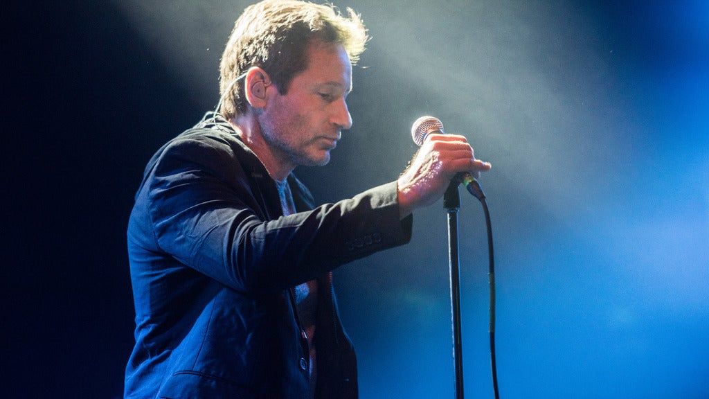 David Duchovny, 22 September | Event in Houston | AllEvents