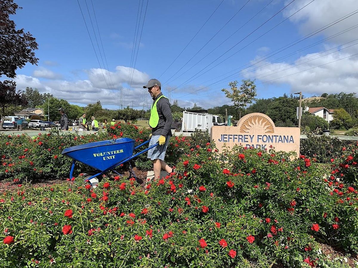 Jeffrey Fontana Park Rose Pruning Day, Jeffrey Fontana Park, San Jose