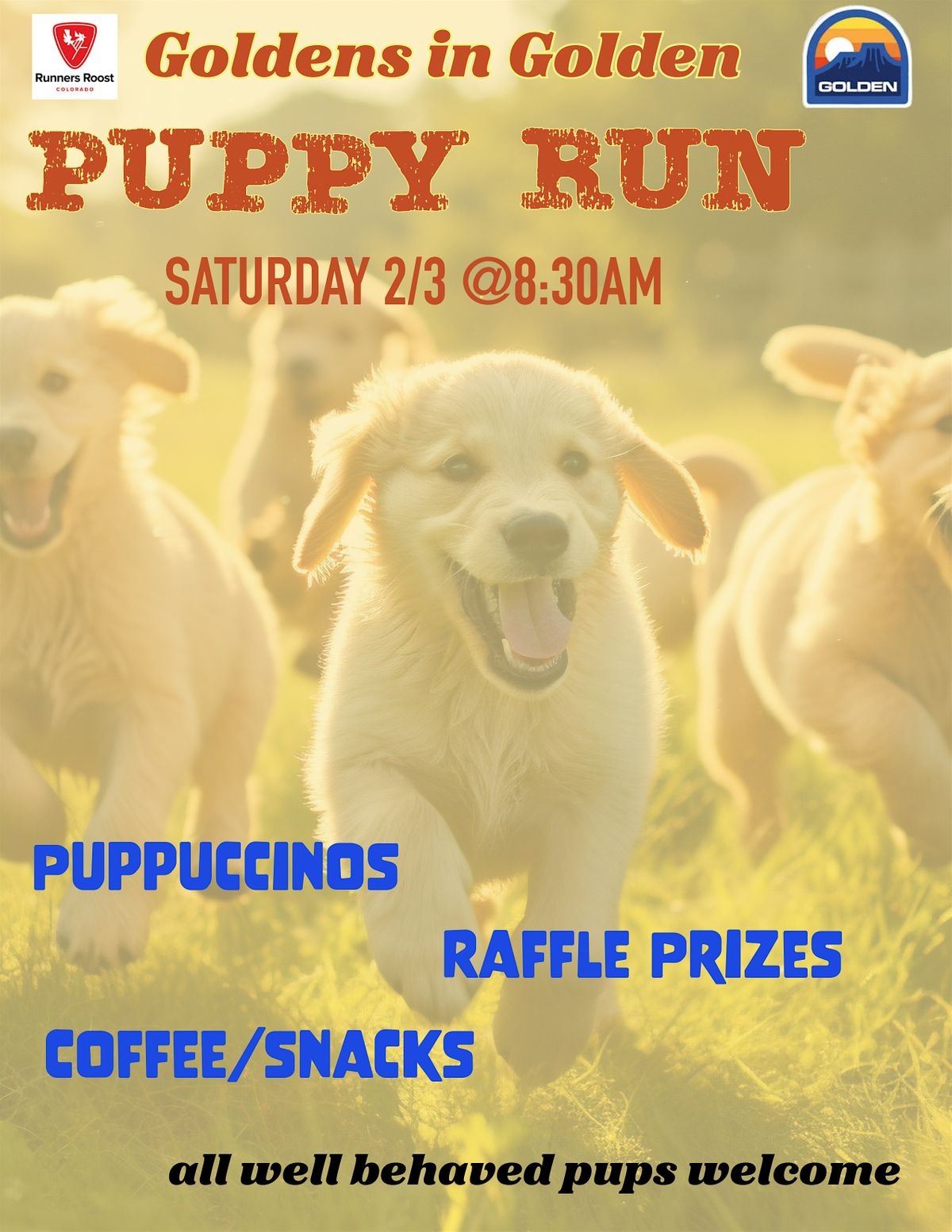 Runners Roost Golden Puppy Run, Runners Roost, Ford Street, Golden, CO